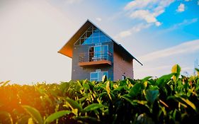 Cloud Canopy - Tea Garden Family Pool Cottage In Vagamon